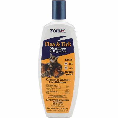 flea bath shampoo