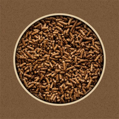 Image showing  12% All-Stock Sweet Pelleted Cattle Feed, 50 lb. Bag