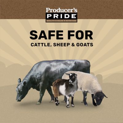 Image showing  12% All-Stock Sweet Pelleted Cattle Feed, 50 lb. Bag