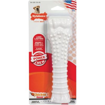 Nylabone Power Chew Textured Chicken Souper Dog Chew Toy
