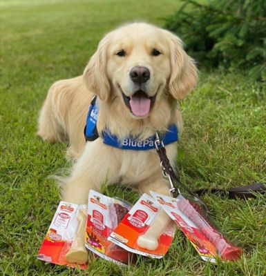 Image showing  Power Chew Durable Dog Chew Toy, Giant