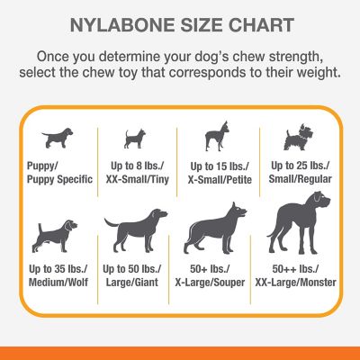 Image showing 5 th Nylabone Power Chew Durable Dog Chew Toy, Giant