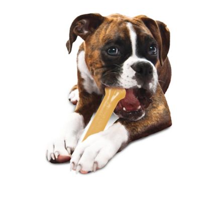 Image showing 8 th Nylabone Power Chew Durable Dog Chew Toy, Giant