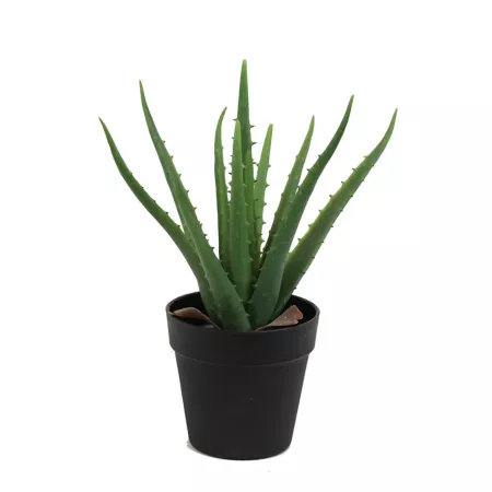 The Mod Greenhouse 14" Artificial Aloe Vera Plant in Matte Black Planter Artificial Plants & Flowers