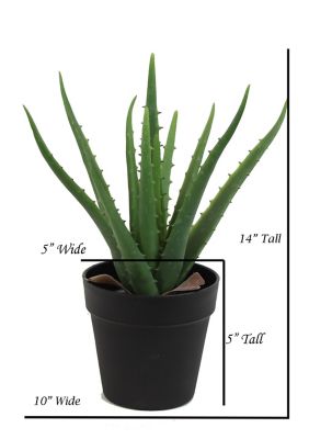 Image showing  14 in. Artifical Aloe Vera Plant in a Black Matte Planter Pot