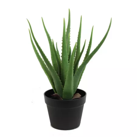 The Mod Greenhouse 19" Artificial Aloe Vera Plant in Matte Black Planter Artificial Plants & Flowers