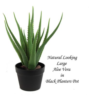 Image showing  19 in. Artifical Aloe Vera Plant in a Black Matte Planter Pot