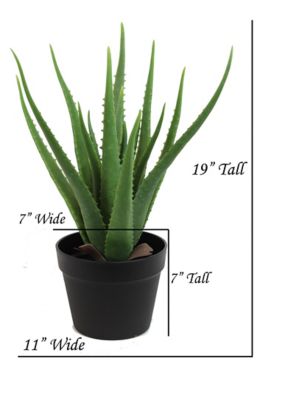 Image showing  19 in. Artifical Aloe Vera Plant in a Black Matte Planter Pot