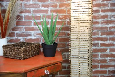 Image showing  19 in. Artifical Aloe Vera Plant in a Black Matte Planter Pot