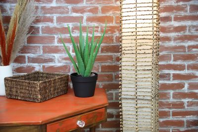 Image showing  19 in. Artifical Aloe Vera Plant in a Black Matte Planter Pot