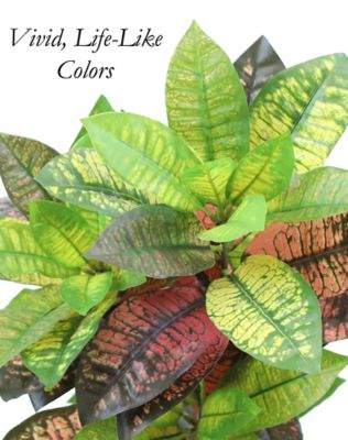 Image showing 1 th The Mod Greenhouse 24 in. Artificial Green Croton Plant in a Black Matte Planter Pot