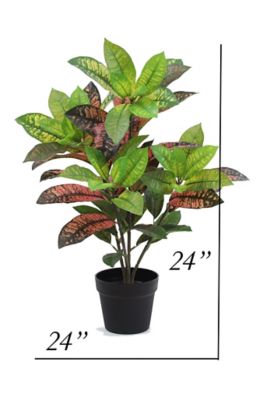 Image showing 2 th The Mod Greenhouse 24 in. Artificial Green Croton Plant in a Black Matte Planter Pot