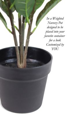 Image showing 3 th The Mod Greenhouse 24 in. Artificial Green Croton Plant in a Black Matte Planter Pot