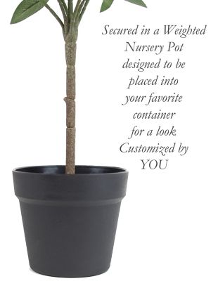 Image showing  24 in. Artificial Green Olive Tree in a Black Matte Planter Pot