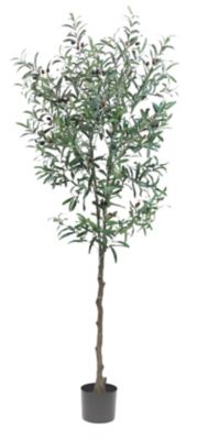 The Mod Greenhouse 72 in. Artificial Green Olive Tree in a Black Matte Planter Pot