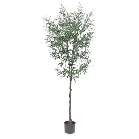 The Mod Greenhouse 72" Artificial Green Olive Tree in Matte Black Planter Artificial Plants & Flowers