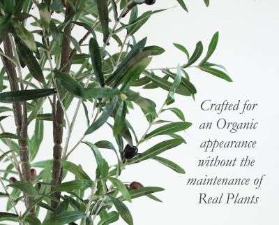 Image showing  72 in. Artificial Green Olive Tree in a Black Matte Planter Pot