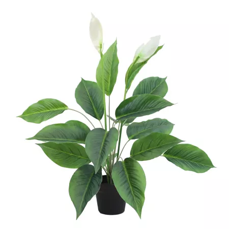 The Mod Greenhouse 24" Artificial Green Peace Lily Plant in Matte Black Planter Artificial Plants & Flowers