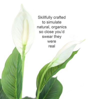 Image showing  24 in. Artificial Green Spathiphyllum Peace Lily Plant in a Black Matte Planter Pot