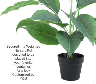 Image showing  24 in. Artificial Green Spathiphyllum Peace Lily Plant in a Black Matte Planter Pot