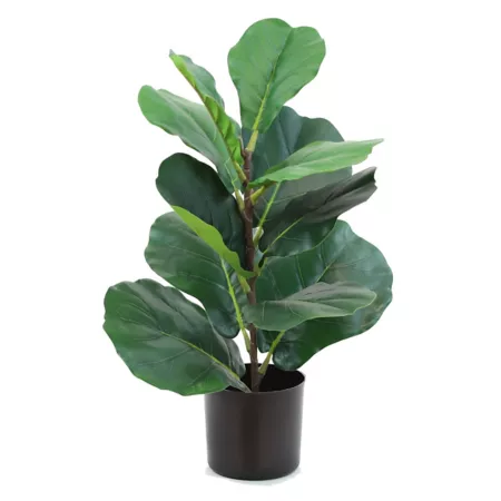 The Mod Greenhouse 24" Green Fiddle Leaf Artificial Plant in Matte Black Planter Artificial Plants & Flowers