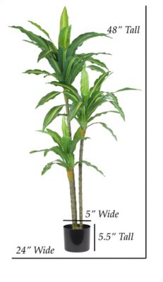 Image showing  48 in. Artificial Variegated Dracaena Plant in Black Matte Planter Pot