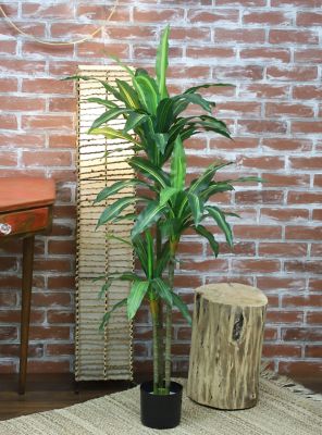 Image showing  48 in. Artificial Variegated Dracaena Plant in Black Matte Planter Pot