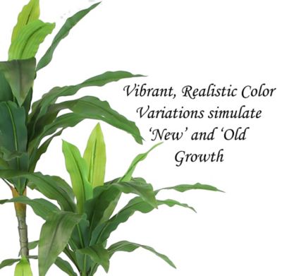 Image showing 1 th The Mod Greenhouse 48 in. Artificial Green Dracaena Plant in Black Matte Planter Pot