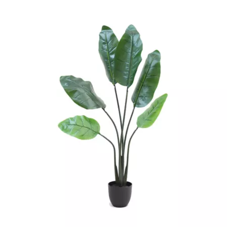 The Mod Greenhouse 52" Artificial Green Tree of Paradise in Contemporary 6.5" Matte Black Pot (6 Leaves) Artificial Plants & Flowers