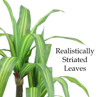 Image showing  49 in. Artificial Green Dracaena Tree in a 6.5 in. Black Matte Contemporary Pot