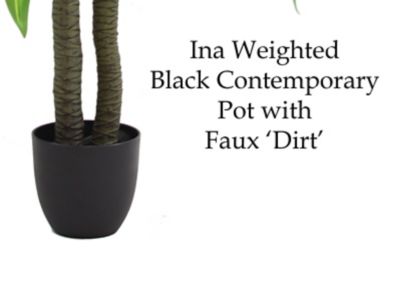 Image showing  49 in. Artificial Green Dracaena Tree in a 6.5 in. Black Matte Contemporary Pot