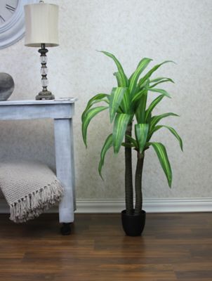 Image showing  49 in. Artificial Green Dracaena Tree in a 6.5 in. Black Matte Contemporary Pot