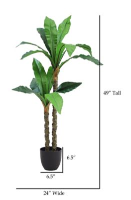 Image showing  49 in. Artificial Non-Variegated Green Dracaena Tree in a 6.5 in. Black Matte Contemporary Pot