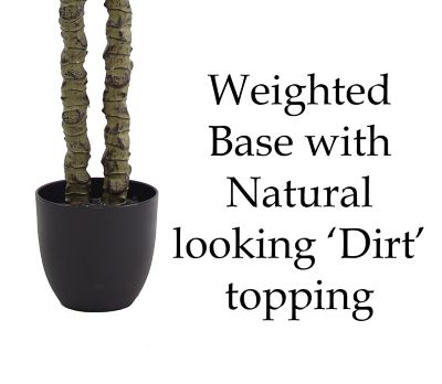 Image showing  49 in. Artificial Non-Variegated Green Dracaena Tree in a 6.5 in. Black Matte Contemporary Pot