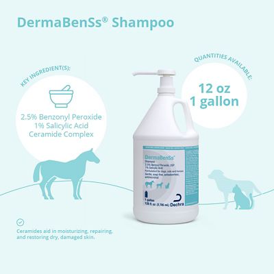 Image showing  Medicated Pet Shampoo