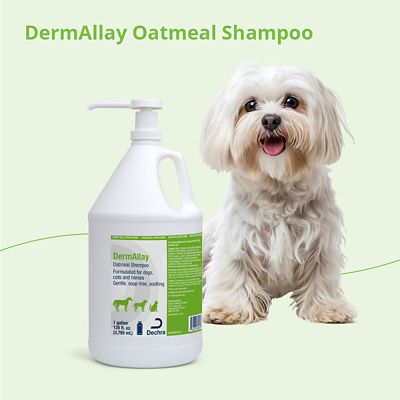 Image showing  DermAllay Oatmeal Pet Shampoo
