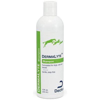 Dechra DermaLyte Shampoo, 12 oz.