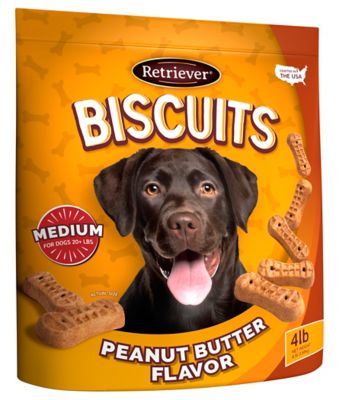 Retriever Peanut Butter Flavor Dog Biscuit Treats, 4 lb.