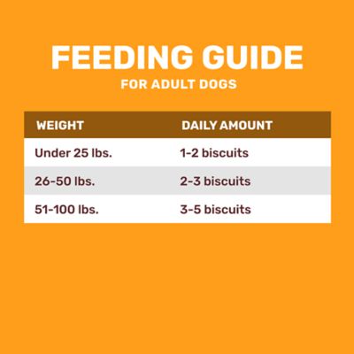 Image showing  Peanut Butter Flavor Dog Biscuit Treats, 4 lb.