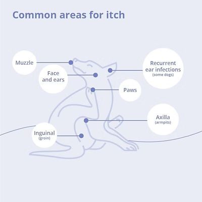 Image showing  Triz Dry Skin Wipes, 50 ct.