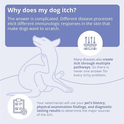 Image showing  Triz Dry Skin Wipes, 50 ct.