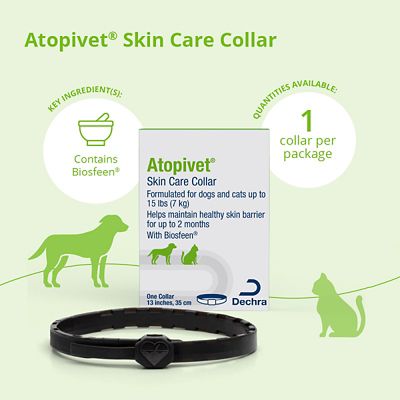 Image showing  Skin Care Collar for Cats and Dogs