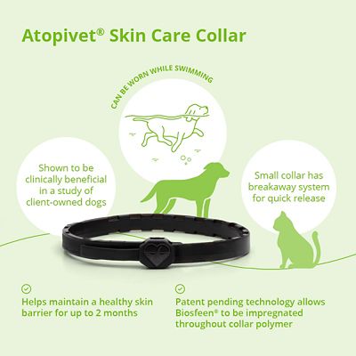 Image showing  Skin Care Collar for Cats and Dogs