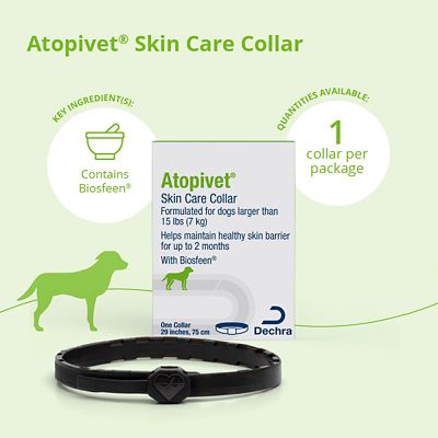 Image showing  Skin Care Collar for Cats and Dogs