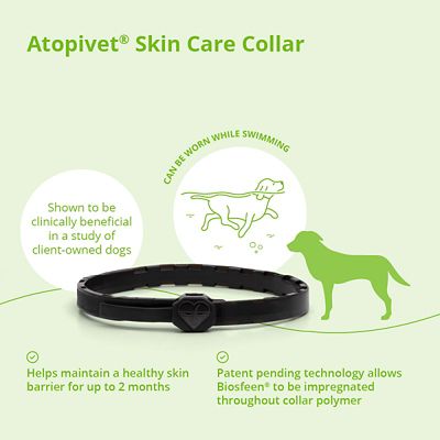 Image showing  Skin Care Collar for Cats and Dogs