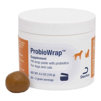 Dechra ProbioWrap Pill Wrap Paste with Probiotics, 4.2 oz.