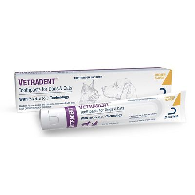 Dechra VETRADENT Toothpaste (double-headed toothbrush included), 2.3 oz.