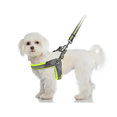 Zippy Dynamics STRIDE Adjustable Step-In Dog Harness, Green, XS