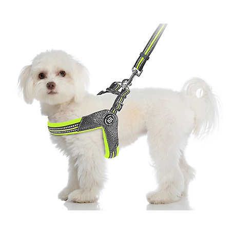 Zippy Dynamics STRIDE Adjustable Step-In Dog Harness, Green, XS
