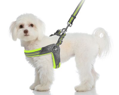 Zippy Dynamics STRIDE Adjustable Step-In Dog Harness